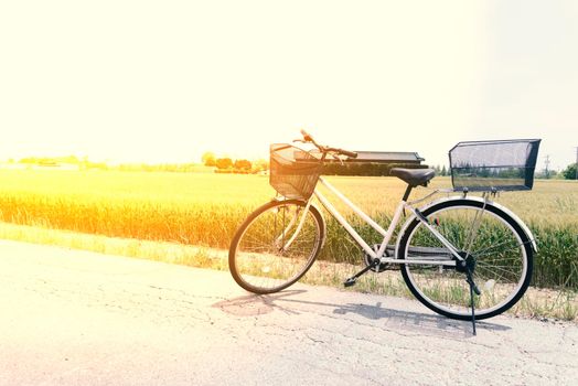Bicycle on the road in front of the rice field farm in nature, relex conceptm vintage tone