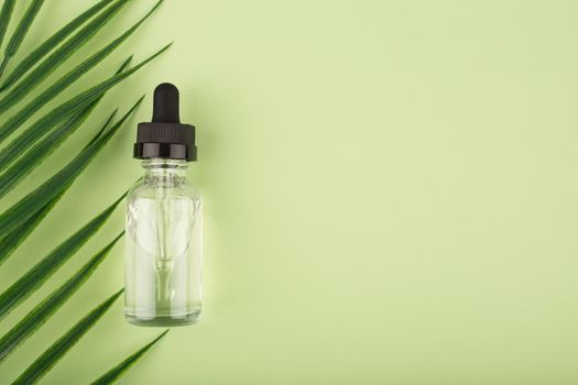 Skin serum in transparent bottle on green background with palm leaf and copy space. Concept of anti aging or anti acne organic, natural skin treatment for glowing, young looking and healthy skin