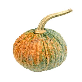 Pumpkin on isolated white background. Food and vegetable concept. Clipping path use