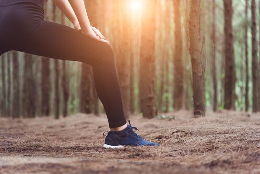 Close up of lower body of woman doing yoga and stretching legs before running in forest at outdoors. Sports and Nature concept. Lifestyle and Activity concept. Pine woods theme.