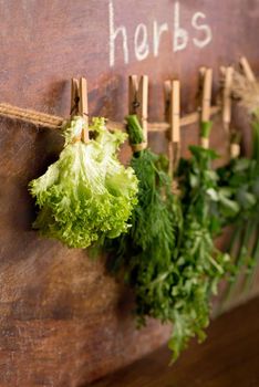 Fresh herbs hanging over wooden background. thyme, basil, oregano parsley