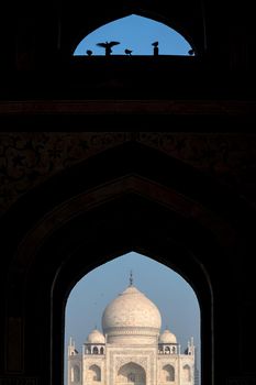 Taj Mahal, The Seven Wonders of the World in Agra, India 
