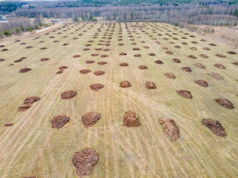 Manure heaps lie in even rows in a field, aerial photo. Application of organic fertilizers in spring and autumn. The concept of working in agriculture for doing business and making a profit.