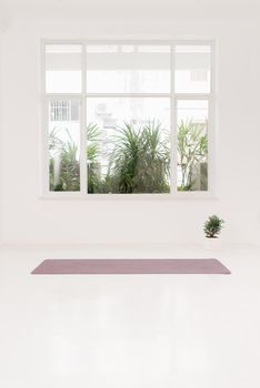 Gym with yoga mat on the floor