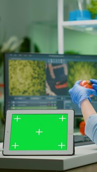 Chemist researcher typing microbiology expertise on computer while in front standing on table tablet with mock up green screen chroma key with isolated display. Biologist working in medical lab