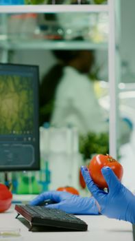 Pharmaceutical chemist examining tomato for microbiology experiment typing medical information on computer. Biochemist injecting healty vegetables with pesticides working in agriculture laboratory