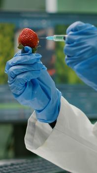 Closeup of biologist scientist injecting strawberry with dna liquid checking fruits for pharmaceutical medical experiment. Biochemist working in farming laboratory testing food for medical expertise