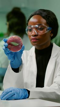 African chemist looking at lab-grown vegan meat sample for microbiology expertise. Scientist woman working on plant-blased beef substitute in biochemistry lab researching modified genetically food