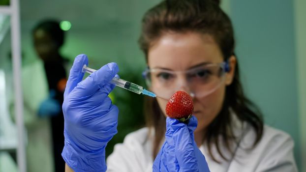 Closeup of biochemist researcher injecting healthy strawberry with dna liquid using medical syringe checking genetic test . Scientist biologist examining fruits in microbiology farming laboratory