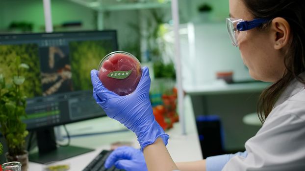 Chemist analyzing plant based beef substitute for vegetarien people typing biochemistry medical expertise on computer. Scientist examining food genetically modified working in microbiology lab
