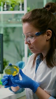 Pharmaceutical researcher analyzing solution test from petri dish for developing medical expertise. Biologist researcher typing microbiology process on computer working in chemical laboratory