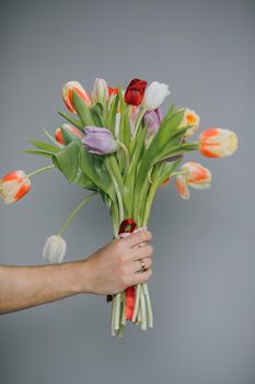 Arm of Man Giving tulips bouquet. Spring bouquet of tulips in hand. Bunch of fresh cut spring flowers in male hands