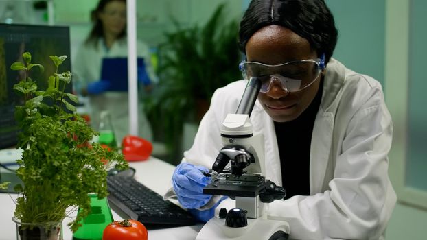 Front view of biologist researcher woman analyzing gmo green sample under medical microscope. Chemist scientist examining organic agriculture plants in microbiology scientific laboratory