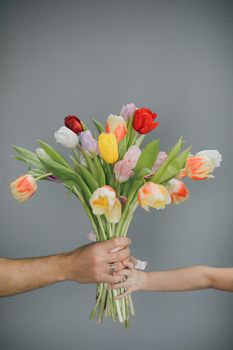 Spring bouquet of tulips in hands. Bunch of fresh cut spring flowers in hands. Arms Giving tulips bouquet. Spring bouquet of tulips in hands. Bunch of fresh cut spring flowers.