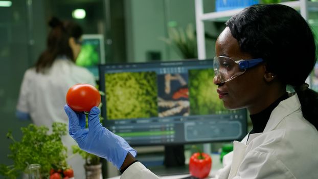 Scientist researcher woman checking tomato injected with pesticides for gmo test, in background her coleglegue typing chemical test Biochemist working in biotechnology organic laboratory