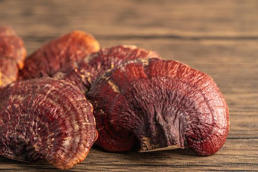 Dried lingzhi mushroom isolated on white background with clipping path.