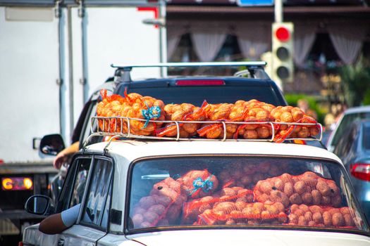 loaded car carries on the trunk bags of potatoes, after harvesting