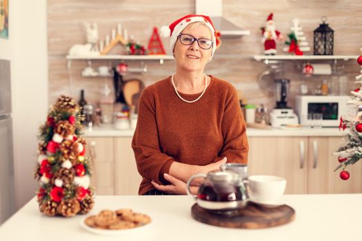 Happy cheerful senior woman celebrating christmas with delicious cookies. Grandmother wearing santa hat smiling in home kitchen with winter holiday decoration.