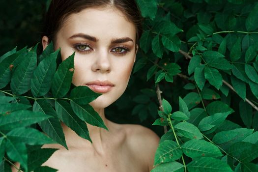 portrait of a woman Cosmetology nature green leaves glamor model. High quality photo