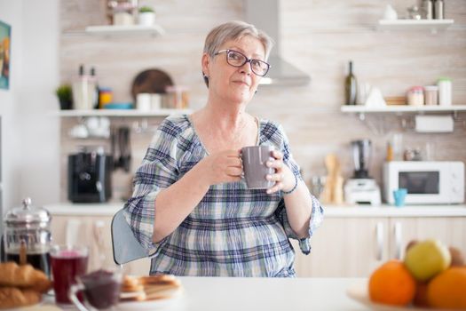 Portrait of wrinkled senior woman smiling at camera holding cup of offee in kitchen during breakfast. Authentic portrait of relaxed elderly older person in the morning, enjoying fresh warm drink. Healthy smiling adult face