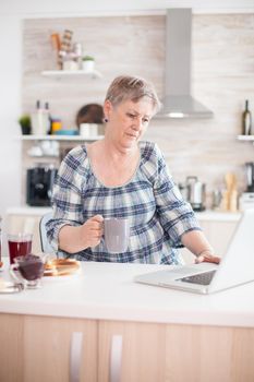 Elderly retired person searching online recipe using laptop in kitchen during breakfast. Senior woman working from home, telecommuting using remote internet job online communication on modern technology notebook