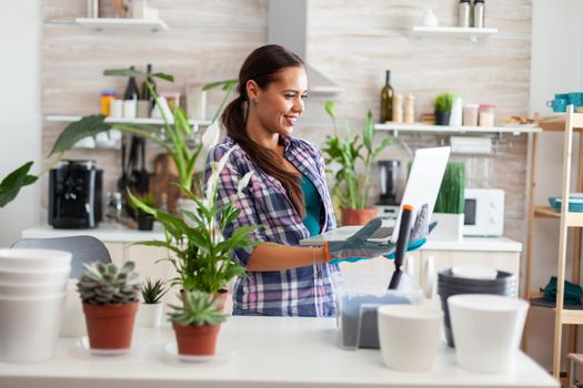 Florist holding laptop in kitchen while making flowers for decoration with fertile soil. Decorative, plants, growing, lifestyle, design, botanica, dirt, domestic, hobby, seeding, happy.