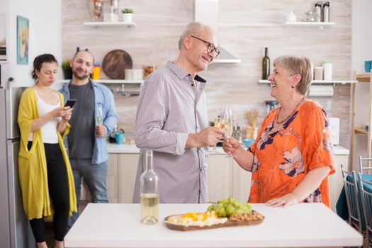 Senior couple toasting wine glasses in kitchen during family brunch. Appetizer with various cheese. Old man and woman looking at each other.