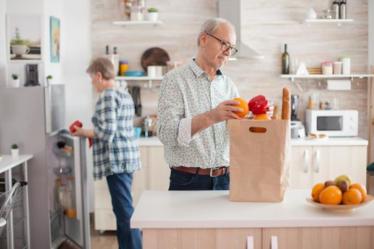Senior couple arriving from supermarket with grocery bag and unpacking in kitchen. Elderly retired persons enjoying life, spending time helping each other