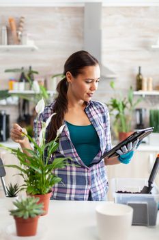 Woman reading about gardening on tablet pc in home kitchen. Decorative, plants, growing, lifestyle, design, botanica, dirt, domestic, growh, leaf, hobby, seeding, care, happy, green, natural,