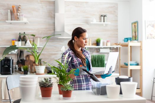 Holding shovel for gardening and laptop in kitchen looking for home decoration. Decorative, plants, growing, lifestyle, design, botanica, dirt, domestic, growh, leaf, hobby, green, natural,