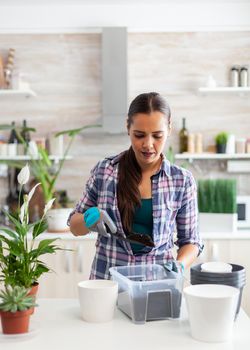 Housewife gardening in the kitchen at home using gloves and shovel. Decorative, plants, growing, lifestyle, design, botanica, dirt, domestic, growh, leaf, hobby, seeding, care, happy, green, natural,