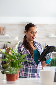 Florist using tablet pc for flower design in home kitchen. Decorative, plants, growing, lifestyle, design, botanica, dirt, domestic, growh, leaf, hobby, seeding, care, happy, green, natural,