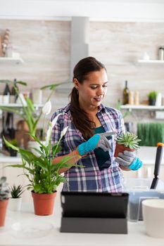 Woman holding flower and listening music on tablet pc while gardening in kitchen. Decorative, plants, growing, lifestyle, design, botanica, dirt, domestic, growh, leaf, hobby, seeding,