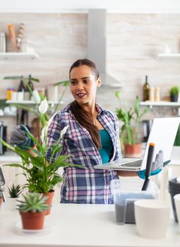 Woman gardener using laptop in home while decorating kitchen with flowers. Decorative, plants, growing, lifestyle, design, botanica, dirt, domestic, growh, leaf, hobby, seeding, care, happy, green, natural,