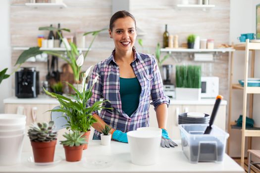 Woman planting decorative flowers for home using feritle soil. Decorative, plants, growing, lifestyle, design, botanica, dirt, domestic, growh, leaf, hobby, seeding, care, happy, green, natural,