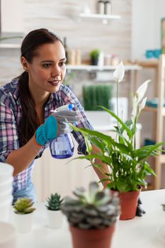 Cheerful woman spaying plants in kitchen at home. Using fertil soil with shovel into pot, white ceramic flowerpot and houseplant prepared for replanting for house decoration caring them.