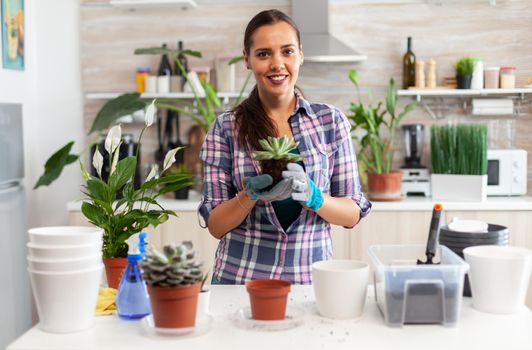 Portrait of happy woman holding succulent plant sitting on the table in kitchen. Woman replanting flowers in ceramic pot using shovel, gloves, fertil soil and flowers for house decoration.