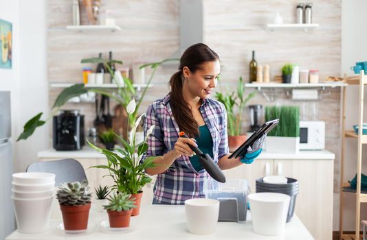 Florist seeding new flowers in home kitchen while gardening. Decorative, plants, growing, lifestyle, design, botanica, dirt, domestic, growh, leaf, hobby, seeding, care, happy, green, natural,