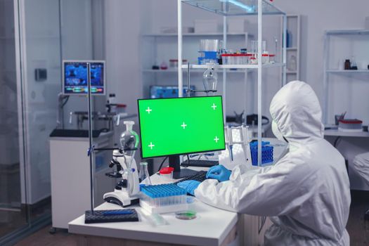 Medical engineer conducting research on computer with green screen during covornavirus. Team of microbiologists doing vaccine research writing on device with chroma key, isolated, mockup display.