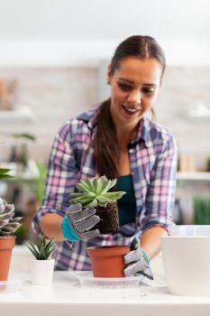 Portrait of happy woman holding succulent plant sitting on the table in kitchen. Woman replanting flowers in ceramic pot using shovel, gloves, fertil soil and flowers for house decoration.