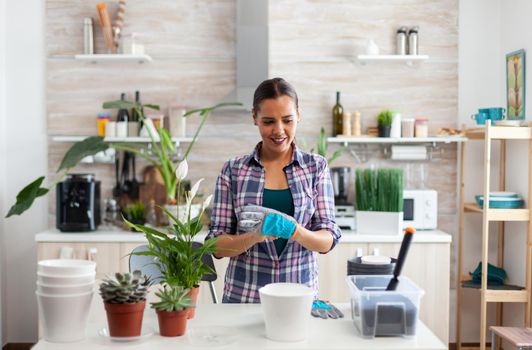Woman house planting in kitchen using gardening gloves. Using fertil soil with a shovel into pot, white ceramic pot and houseflower, plants, prepared for replanting at home for house decoration.