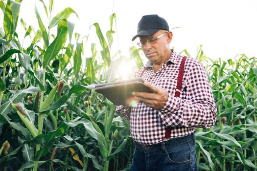 Farmer working in a cornfield, inspecting and tuning irrigation center pivot sprinkler system on tablet. Working in field harvesting crop. Agriculture concept.