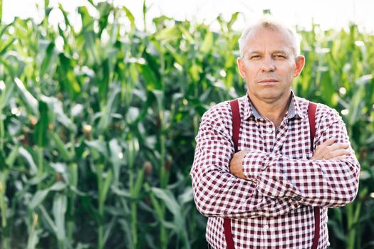 Portrait of the thoughtful senior male farmer looks at camera. Senior Farmer smiling. Close up of the Caucasian good looking young man smiling to the camera.