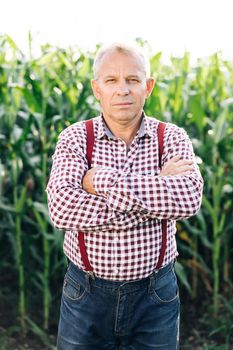 Portrait of man with crossing hands in the casual shirt in the farm on corn field background. Caucasian good looking man smiling to the camera.