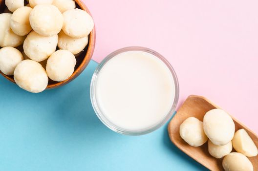 Macadamia milk in a glass and a bowl of macadamia nuts on beautiful background.