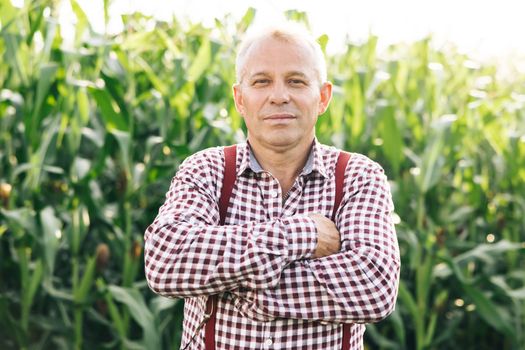 Portrait shot of attractive Caucasian man standing in green corn field, smiling cheerfully to camera. Male farmer with smile outdoors in summer