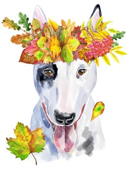 Cute Dog in a wreath of autumn leaves. Dog T-shirt graphics. watercolor bull terrier illustration
