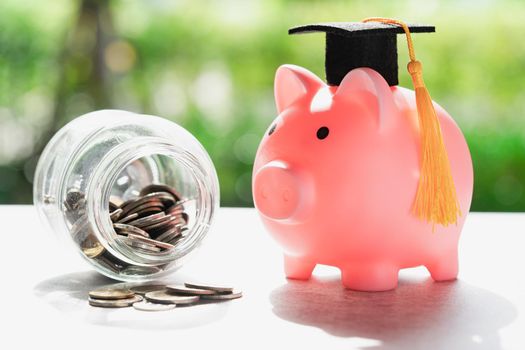 Save money coins in grass jar with piggy bank and graduation cap, Business finance education concept.