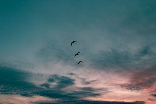 inspiring view sunrise light. High resolution photo