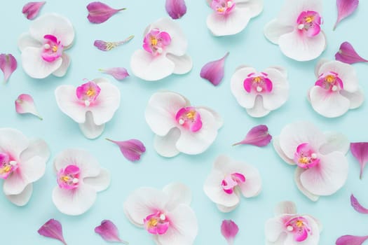 top view arrangement pink orchids. High resolution photo
